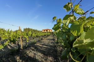 Foto dalla galleria di Bed and breakfast Le Camelie ad Alghero