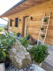 a wooden house with plants in front of it at Luxus Chalet Zur Resi in Mauth