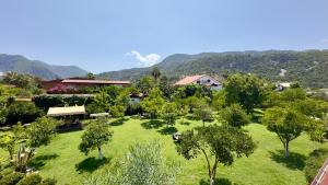 an aerial view of a garden with trees and houses at Oase Garden in Cıralı