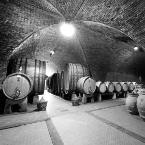 Fotografie z fotogalerie ubytování Borgo Antico Casalbosco Holiday Home & Winery v destinaci Santomato 