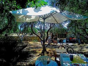 Κήπος έξω από το Vila Thimari A House in olive grove