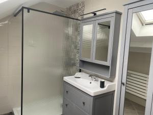 a bathroom with a sink and a glass shower at Confortable Appartement près de Metz pour 6 personnes in Ban-Saint-Martin