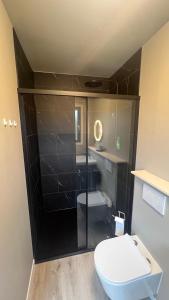 a bathroom with a toilet and a sink at Hélius lodge in Brugelette