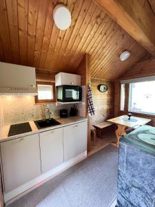 Η κουζίνα ή μικρή κουζίνα στο Vuorijärvi cottage