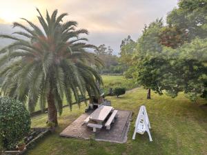 a picnic table and a palm tree in a park at Casa Camiño do Eume in A Coruña