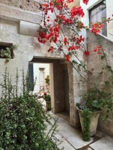 Κήπος έξω από το Ricci Rooms +61 φωτογραφίες