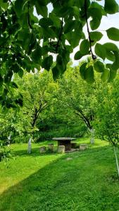 Giardino di Guest House Ijevan's Garden