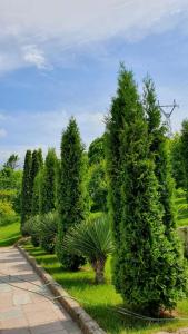 Giardino di Guest House Ijevan's Garden