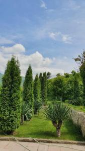 Giardino di Guest House Ijevan's Garden