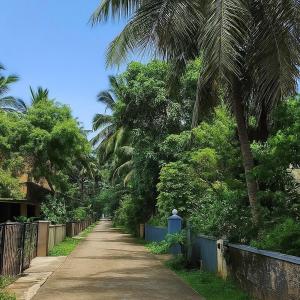 Zahrada ubytování MyYearlyStay in Udupi - Classic