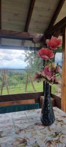 Afbeelding uit fotogalerij van NaVisu avlija in Kruševica