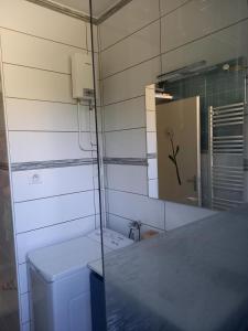 a bathroom with a toilet and a mirror and a sink at Vacances cures luchon in Luchon +15 photos