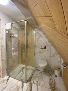 Ένα μπάνιο στο Apartament Pod Ostryszem +12 φωτογραφίες