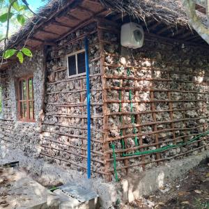a house with a bunch of chickens on the side of it at JozaniBiospherevillage in Jozani