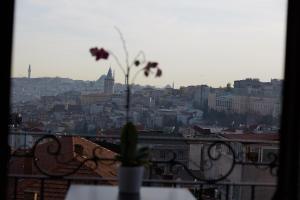 イスタンブールにあるアララト　ホテルの植物のあるバルコニーから市街の景色を望めます。