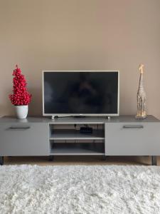 un soggiorno con TV su un centro di intrattenimento bianco di Riverside Retreat - Cozy Central Stay in Pärnu a Pärnu