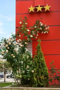 Fotografie z fotogalerie ubytování Hotel Select v destinaci Tulcea