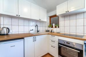 Kuchyň nebo kuchyňský kout v ubytování Apartments Mikulina