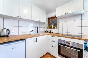 Kuchyň nebo kuchyňský kout v ubytování Apartments Mikulina