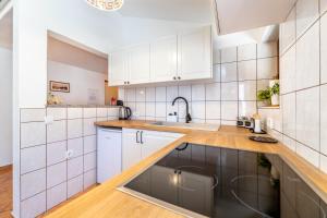 Kuchyň nebo kuchyňský kout v ubytování Apartments Mikulina