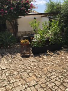 Zahrada ubytování Oasi di Campagna