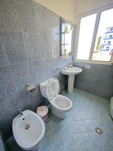 Koupelna v ubytování Erois Apartments Golem Mali i Robit + 23 fotografií