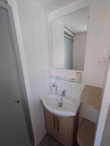 a bathroom with a sink and a mirror at Bellavista - Fishingcamp in Mequinenza +19 photos