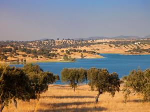 a view of a lake with trees in a field at Betica Hotel Rural in Pias