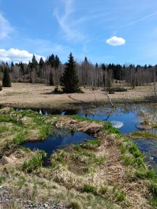 Fotografie z fotogalerie ubytování Chalupa pod Volarským rondelem v destinaci Volary