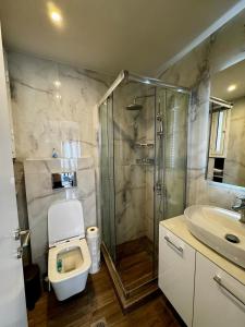 a bathroom with a shower and a toilet and a sink at Nikos Apartment in Paralia Dionysiou +24 photos