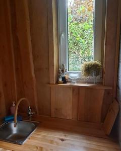 una cucina con un lavandino e una finestra di Imantass a Salacgrīva