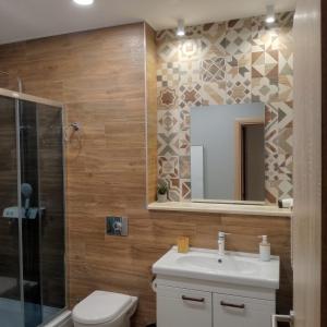 a bathroom with a toilet and a sink and a mirror at VILA ROZA in Prožura +20 photos
