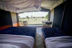 Postel nebo postele na pokoji v ubytování Migration UnderCanvas