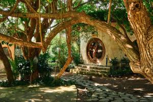 a garden with a tree and a stone path at Nuanu Suites & Accommodations in Tabanan +39 photos