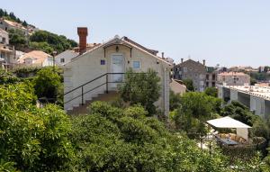 Príroda v okolí apartmánu + 37 fotografií