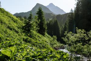 Paesaggio naturale nelle vicinanze dell'appartamento