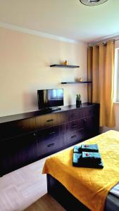 Μια τηλεόραση ή/και κέντρο ψυχαγωγίας στο Levilena apartament Osiedle Bałtyk