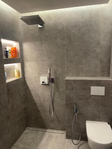 a bathroom with a shower and a toilet at Luxury Šarli Apartment Nemirsetos parke in Palanga +17 photos