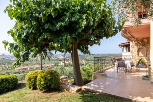ネア・ムダニアにあるThe Grand Panorama Villaのパティオに大きな木がある家