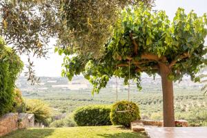 ネア・ムダニアにあるThe Grand Panorama Villaの庭の木掛け