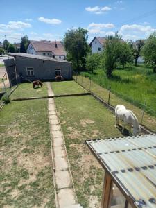 Fotografie z fotogalerie ubytování Michelles FeWo v destinaci Uttenweiler