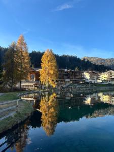 a reflection of a tree in the water at Dimaro-Folgarida Apartment in Monclassico
