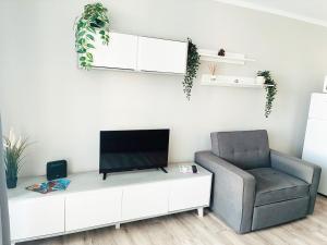 a living room with a chair and a television at Sissy Tenerife Apartman in San Miguel de Abona