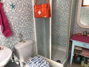 a bathroom with a shower with a toilet and a sink at Casa Del Angel in Cerbère