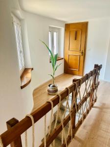 a wooden staircase with a potted plant on it at Casa Papavero in Gambarogno +19 photos