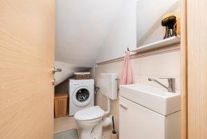 een badkamer met toilet, wastafel en wasmachine bij Casa Sossi near Rovinj in Kanfanar +37 foto's
