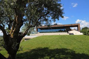 Κήπος έξω από το Azienda Agricola Galliussi