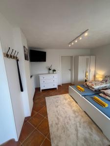 Μια τηλεόραση ή/και κέντρο ψυχαγωγίας στο Modernes Apartment mit Parkplatz