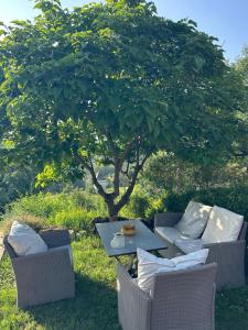 a table and chairs in front of a tree at Le clos des Oiseaux in Itzac +9 photos