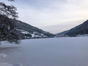 Príroda v okolí penziónu